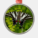 Search for butterfly ornaments White