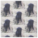 Search for labrador retriever fabric Black lab