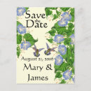 Recherche de colibri bleu cartes postales Animaux