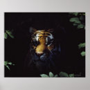 Recherche de corps ver posters Faune