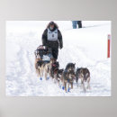 Recherche de chien de traîneau posters Neige