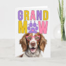 Search for springers Spaniels