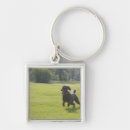 Search for poodle keychains Vertical