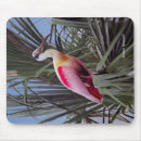 Search for roseate mousepads Spoonbill