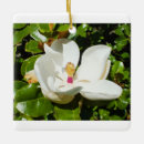 Recherche de magnolia ornements Décoration