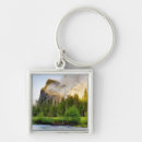 Search for clear keychains Tree