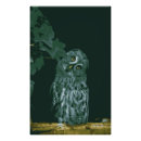 Search for owl portrait posters Cute