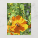 Search for two bees postcards Flora