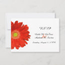 Recherche de fleurs marguerite gerbera invitations Orange