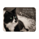 Search for adoptable magnets For pets