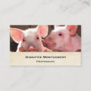 Recherche de porcs roses cartes visite Animal de ferme