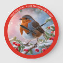 Search for robin clocks Bird