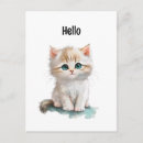 Recherche de chaton blanc cartes postales Capricieux