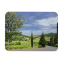 Recherche de cypr magnets Arbre