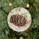 Search for redwoods trees ornaments Sequoia