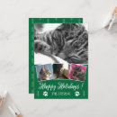 Search for white cat christmas cards Animal lover
