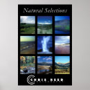 Search for selected posters Nature