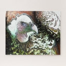 Search for birds of prey puzzles Vulture