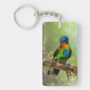 Search for hummingbird keychains Colourful