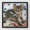 Recherche de kitten horloges Chaton mignon