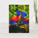 Recherche de affectueux vœux cartes Amour