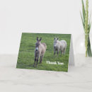 Search for animal thank you cards Cute