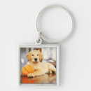 Search for golden retriever keychains Cute