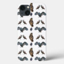 Search for the barn owl electronics Raptor