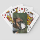 Search for dog playing cards Headshot