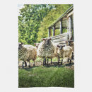 Search for sheep tea towels Farm