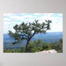 Recherche de pittoresque posters Ciel