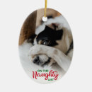 Search for naughty or nice ornaments Dog