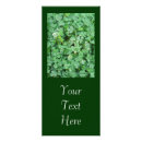 Recherche de clou photographie Nature
