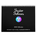 Recherche de felines photographie Chatons