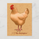 Recherche de éleveur cartes postales Poulet