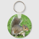Search for gray squirrel keychains Grey