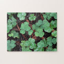 Search for st patricks day puzzles Clovers
