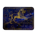 Recherche de signes astrologiques magnets Vintage