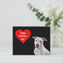 Recherche de chien heureux cartes postales Mignon
