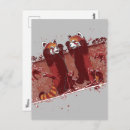 Recherche de ours panda cartes postales Jungle