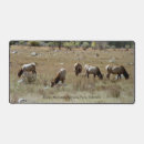 Search for elk electronics Nature