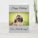 Search for cockapoo birthday cards Puppy