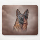 Recherche de chien berger tapis souris Animaux