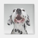 Recherche de animaux menacés magnets Animal