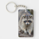 Search for backyard keychains Curious