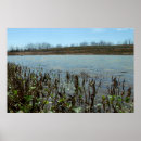Search for marsh posters Outdoors