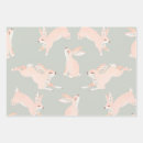 Search for rabbit wrapping paper birthday