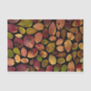 Search for autumn tissue paper Tree