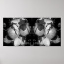 Recherche de arbre noir et blanc art Ferme