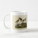 Recherche de athene tasses Oiseau